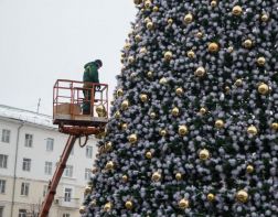 Новогоднюю елку планируют установить на обновленной площади Ленина