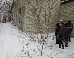 В Москве задержали мужчину, пытавшегося изнасиловать ребенка в Кузнецке