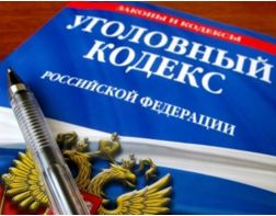 Пьяный водитель-каратист избил полицейского