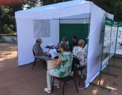 Более 1000 пензенцев стали участниками «Марафона здоровья»