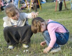 В Пензе на детских площадках нашли яйца гельминтов