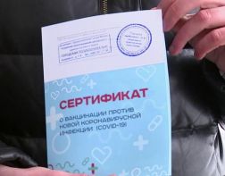 В пензенском минздраве разъяснили, как получить QR-код