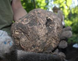 На Золотаревском городище обнаружили артефакт 13 века