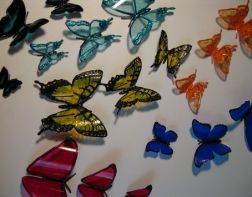 Пензячка потеряла деньги из-за декоративных бабочек