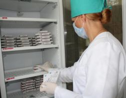 В Пензе открыли горячую линию по профилактике гриппа
