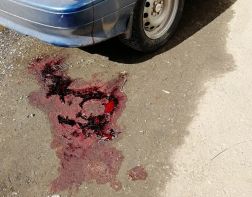 Примирение не помогло: в Пензе осудили сбившего женщину водителя
