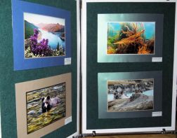 В Краеведческом музее откроется фотовыставка «Заповедная Россия»