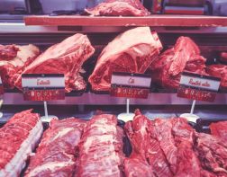 Отказ от мяса провоцирует уменьшение головного мозга