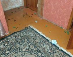 В Сердобске мужчина насмерть застрелил своего пасынка