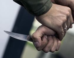 В Пензе гость ударил ножом хозяина квартиры более 20 раз 
