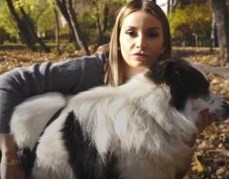 Певица Ольга Орлова пытается помочь пострадавшей в Пензе собаке