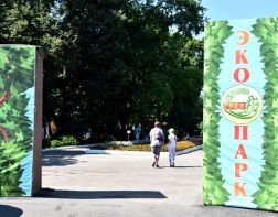 В Пензе пройдет ежегодный экофестиваль 