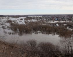 В Пензенской области реки вышли из берегов