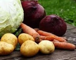 В Пензенской области продают самые дешевые в ПФО капусту и гречку