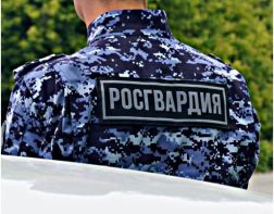 В Пензе в кафе подрались трое пьяных мужчин