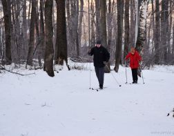 В Пензе планируют реконструировать лыжный стадион «Снежинка»