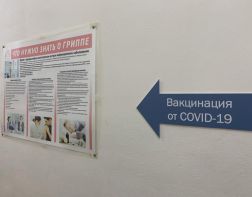 В Пензе задумались об обязательной вакцинации для пожилых людей