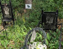 Возле Заречного разрастается кладбище домашних животных
