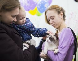 Зареченский благотворительный фонд открывает двери для жителей города
