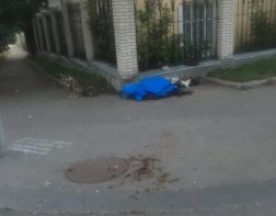 На улице Гоголя жители устали от бомжей