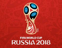 Волонтеры Пензы готовы к FIFA 2018