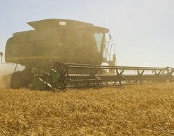 Дарига Назарбаева: богатое село - богатый Казахстан. Что мешает развитию аграрного сектора экономики нашей страны