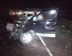 В Спасском районе в горящем автомобиле погиб человек