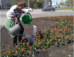 В городе приступили к высадке цветов