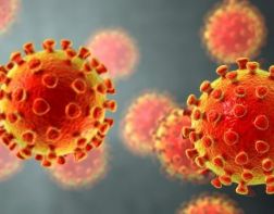 В России спрогнозировали сроки снятия ограничений по коронавирусу