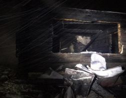 Житель области сгорел в собственном доме