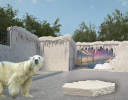 В Пензе белый медведь справит новоселье до Нового года