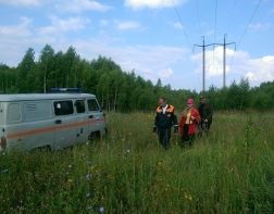 В пензенском лесу нашли мертвую женщину