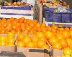В Пензе уничтожили почти 250 килограмм санкционных фруктов 