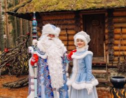 Новогодние персонажи из Пензы отправились на слет Дедов Морозов
