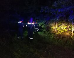 Спасатели нашли заблудившегося ночью в лесу мужчину