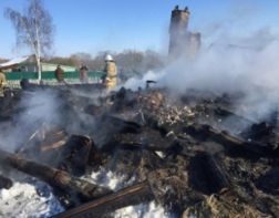 В Пензенской области в результате пожара погибли 2 человека 