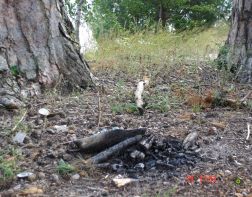 В Пензе на майские праздники будут патрулировать леса