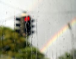 В Пензу идут дожди и грозы