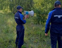 В Пензенском районе нашли двух заблудившихся грибников