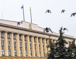 Алексей Костин назначен зампредом правительства региона по информатизации