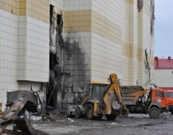 Причиной пожара в Кемерово стал поджог в детском сухом бассейне 