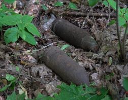 В Пензенском лесу снова нашли боеприпасы