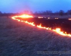 99 населенных пунктов Пензы могут пострадать от пожара