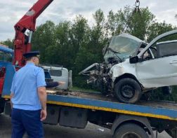 В ДТП на трассе М-5 в Мокшанском районе погибли 6 человек