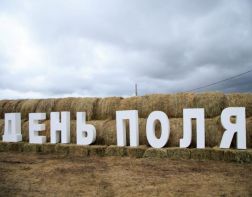 В Пензенской области пройдет агромероприятие «День Поля»