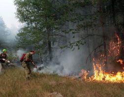 В Неверкино потушили лесной пожар