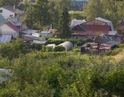 В Пензенской области нашли пропавшую 17-летнюю сердобчанку Марию Шляпину