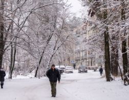 ﻿Воры украли у зареченца мотоблок