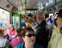 Стоимость проезда в дачных автобусах может сохраниться и в следующем году