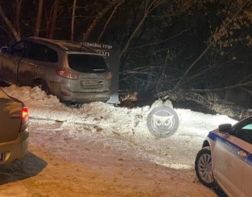 На Ульяновской автоледи «уходила» от ДПС и врезалась в дерево